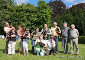 Foto der gesamten Teckelgruppe