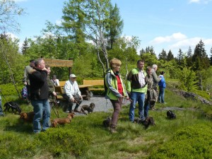 Teckelwanderung_2015-03       